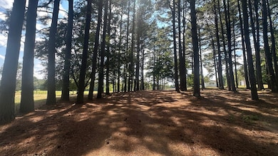 730 Highway 258, Bald Knob, AR 72010 - photo 6