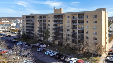 Photo Feb 06 2024, 2 40 21 PM