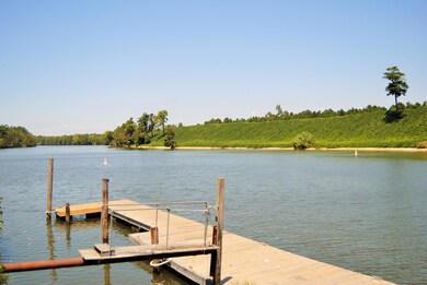 DSC_0586 (2)