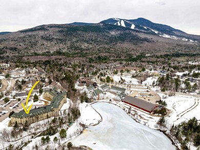 28 Packard Rd unit 604, Waterville Valley, NH 03215 - photo 2