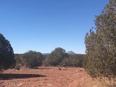 9 Christmas Tree, Ash Fork, AZ 86320 - photo 6