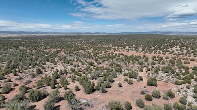 42374 Conwaden Rd, Ash Fork, AZ 86320 - photo 7