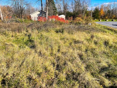 IMG_8007