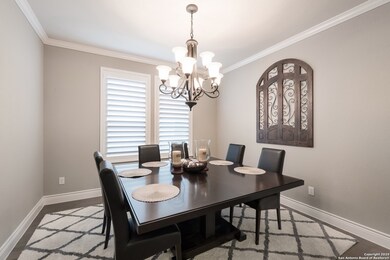 11230 Rock Daisy, Helotes, TX 78023 - photo 7