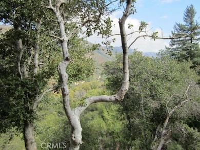 0 N Burnt Mill Canyon Rd unit SR25190570, Cedarpines Park, CA 92322 - photo 5