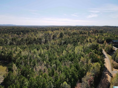 7070 Rendalia Motorway, Talladega, AL 35160 - photo 6