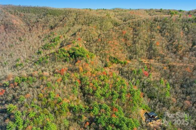 Lot 75 Peppervine Cir, Brevard, NC 28712 - photo 6