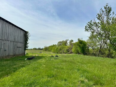 847 Haydon Bros Rd, Springfield, KY 40069 - photo 4