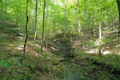 2427 Hurricane Creek Rd, Linden, TN 37096 - photo 3