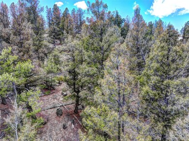 0 Galahad Way unit REC7827714, Hartsel, CO 80449 - photo 7