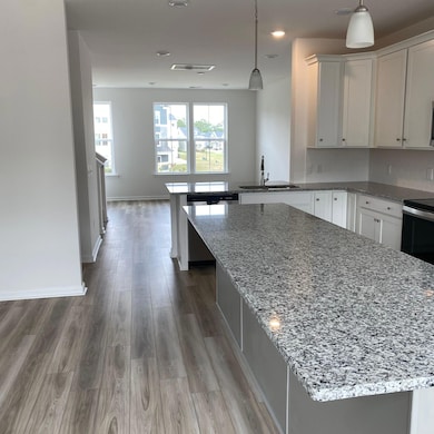 344 Herty Park Dr, Moncks Corner, SC 29461 - photo 3