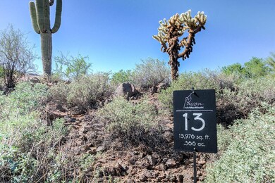 LOT 13