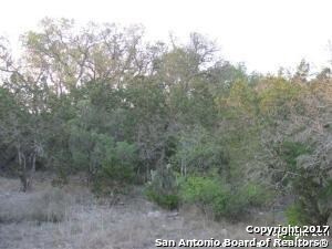 17134 Clovis, Helotes, TX 78023 - photo 5