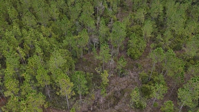 0 Deep Creek Rd, Wiggins, MS 39577 - photo 4