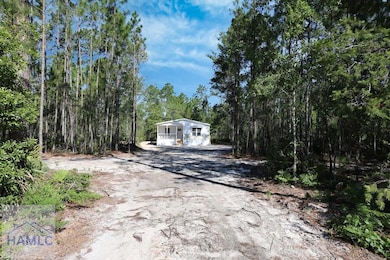 7132 Waycross Hwy, Jesup, GA 31545 - photo 3