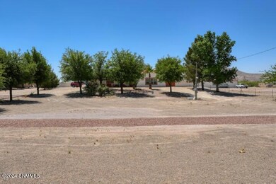 245 Hurt Rd, Las Cruces, NM 88007 - photo 4