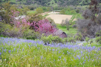 46565 Dry Creek Dr, Badger, CA 93603 - photo 3