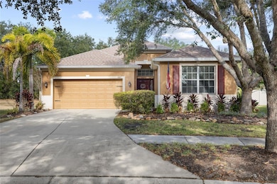 17425 New Cross Cir, Lithia, FL 33547 - photo 2