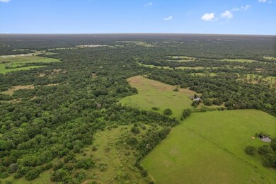 View of bird's eye view