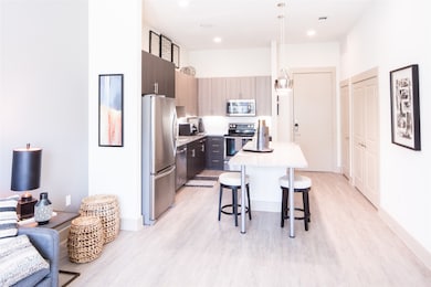 901 N Zang Blvd unit 203, Dallas, TX 75208 - photo 3