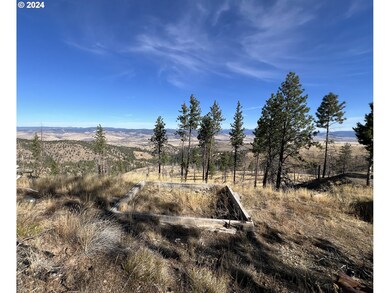 25422 Baldy Mountain Rd, Johnday, OR 97845 - photo 4