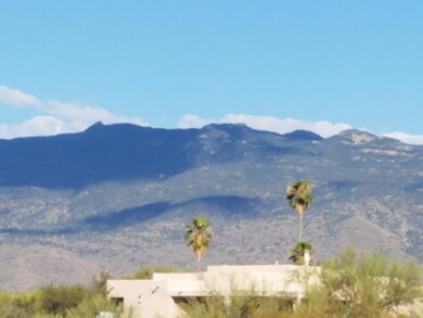 View of Rincon Mountains