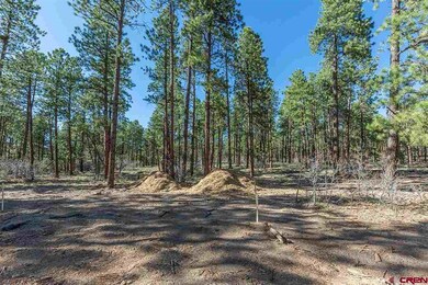 1096 Red Canyon Trail, Durango, CO 81301 - photo 2