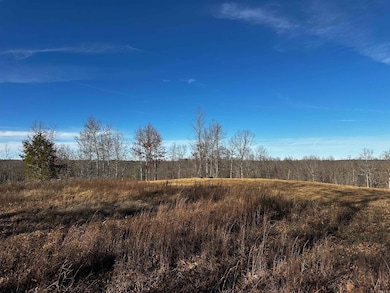 000 Heulan Way, Mountain View, AR 72560 - photo 4