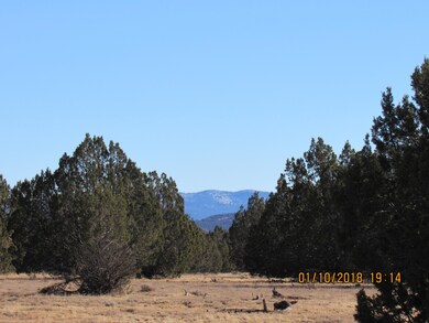1 Juniperwood, Ash Fork, AZ 86320 - photo 4