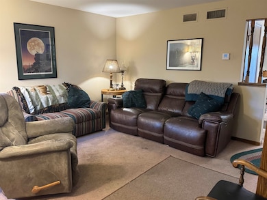 4130 Alvarez Ave, Madison, WI 53714 - photo 6