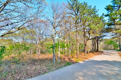 3 Briarwood Ln, West Tisbury, MA 02575 - photo 5