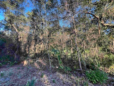 TBD Otter Lake Rd, Panacea, FL 32346 - photo 7