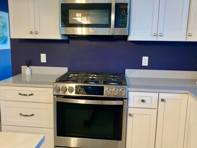 Gas Stove