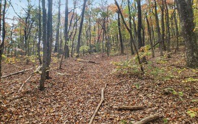 Additional View