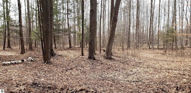 N/A Lehman Rd, Twining, MI 48766 - photo 6