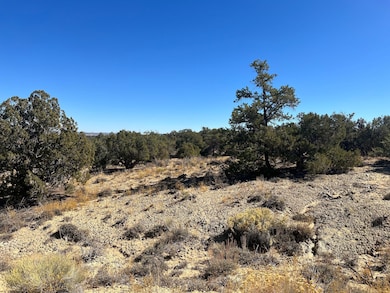 0 New Mexico 574, Aztec, NM 87410 - photo 4