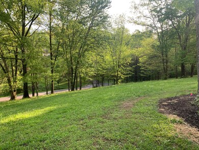 Lot 13 Backside