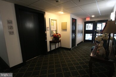 548 Brandon Rd, Norristown, PA 19403 - photo 4