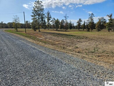 106 Caroline Ln, Monroe, LA 71203 - photo 3