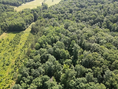 0 Brushy Rd unit RTC2923157, Centerville, TN 37033 - photo 7