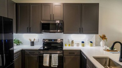 2953 Fm 2920 Rd unit 2107, Spring Branch, TX 77388 - photo 6