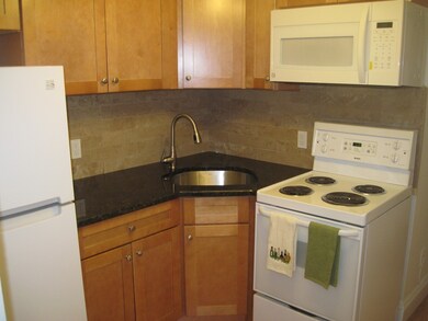 3 Gloucester St unit 3, Boston, MA 02115 - photo 2