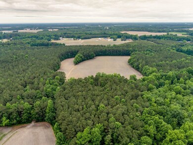 4746 Rosebud Church Rd, Elm City, NC 27822 - photo 3