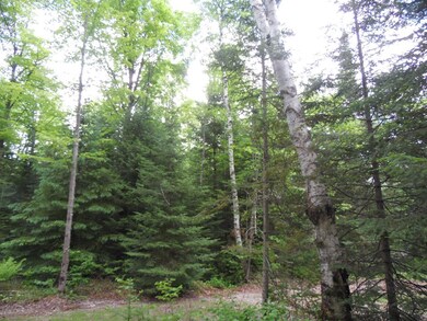 Acreage Cth Cc, Tomahawk, WI 54487 - photo 4