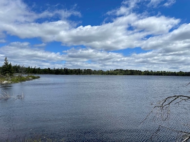 XXXX Murray Forest Rd, Breitung Township, MN 55731 - photo 4