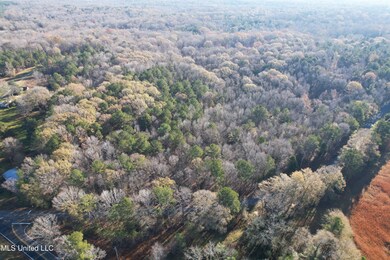 DJI_0781