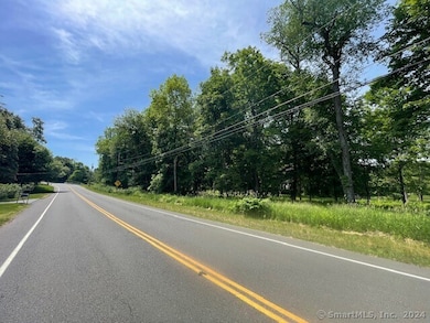 369 Turnpike Rd, Somers, CT 06071 - photo 2