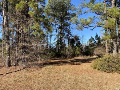 TBD 1.0 Acre Highway 378, Conway, SC 29527 - photo 3