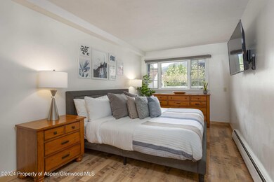 210 E Cooper Ave unit 1C, Aspen, CO 81611 - photo 6