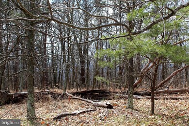 LOT 194 Lockinger Ridge Rd, Old Fields, WV 26836 - photo 5